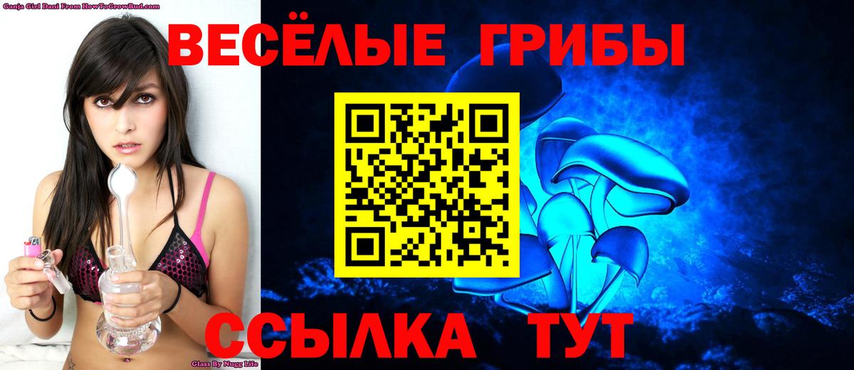 Псилоцибиновые грибы прущие грибы  Вход с VPN  Псилоцибиновые грибы GOLDEN TEACHER  где купить наркотик  Нижнеудинск 